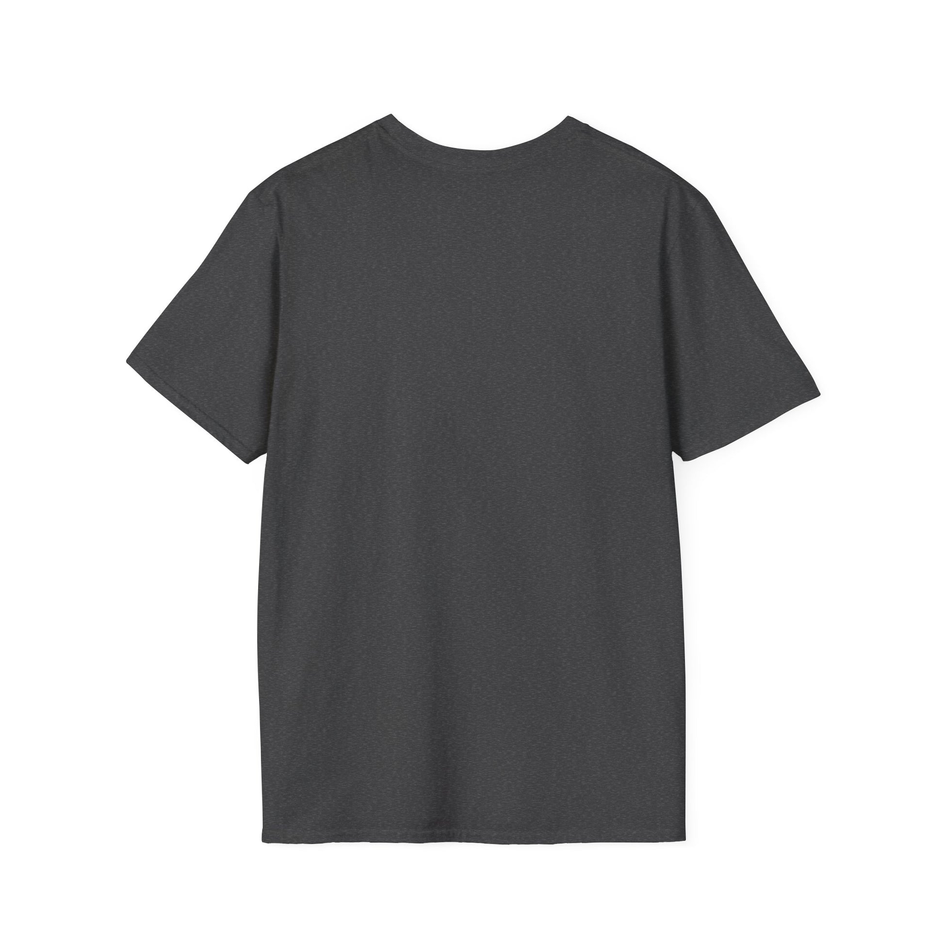 Funny Colorado Springs and Denver Elevation T-Shirt – "Hey Denver! We're 6035 ft." Colorado Springs City Pride Unisex Tee.